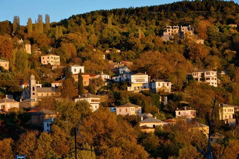 Τον έψαχναν 12 χρόνια και τον βρήκαν στο Πήλιο